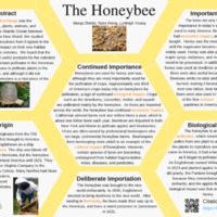 Honeybee.pdf