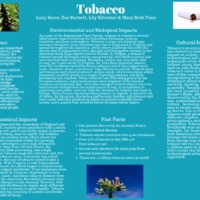 Tobacco.pdf