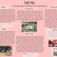 Pig.pdf