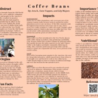 Coffee Bean.pdf