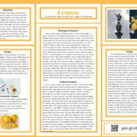Lemon.pdf