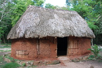 Traditional Maya House